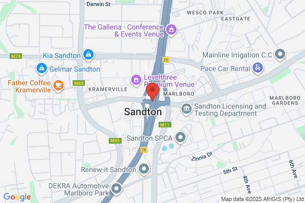 Steers
