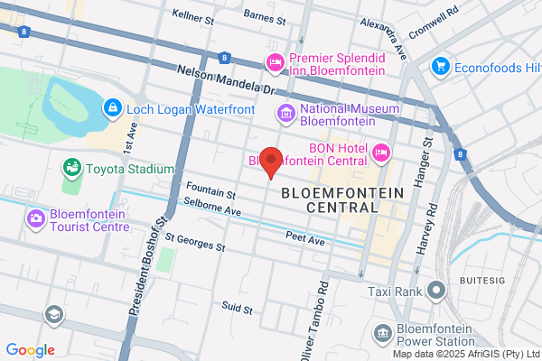 Master Of The High Court (Bloemfontein)