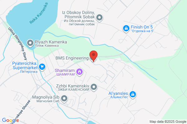 B M S Auto Clinic