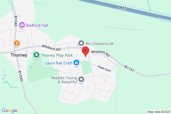 Thorney Croft P School