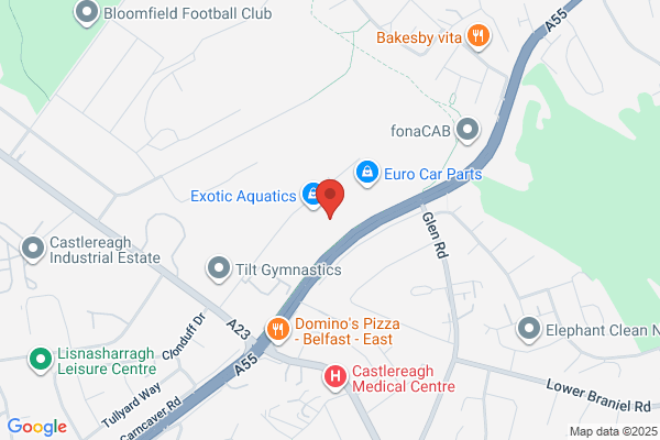 Belfast Automotive & Engineering Services