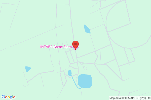 Intaba P