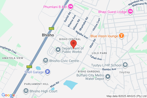 Master of the High Court (Bisho)