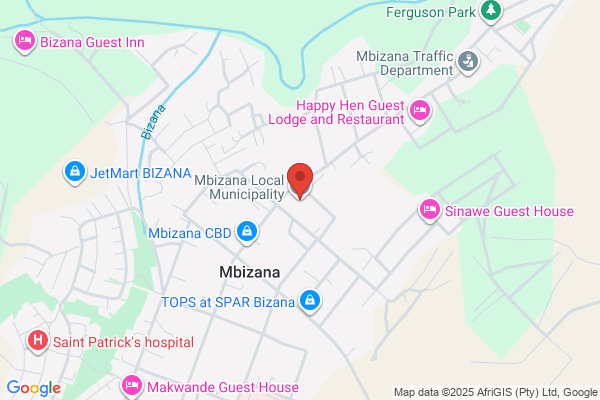 Mbizana Local Municipality (Budget & Treasury)
