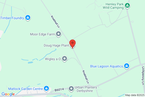 Dougman Plant Hire (pty) Ltd
