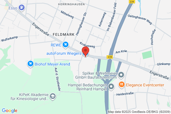 Wilgers Motors