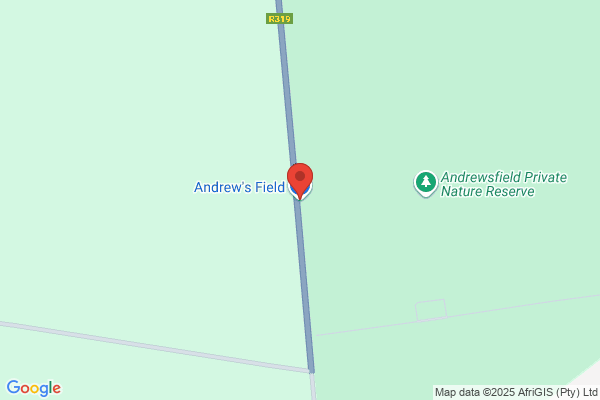 Andrew's Field