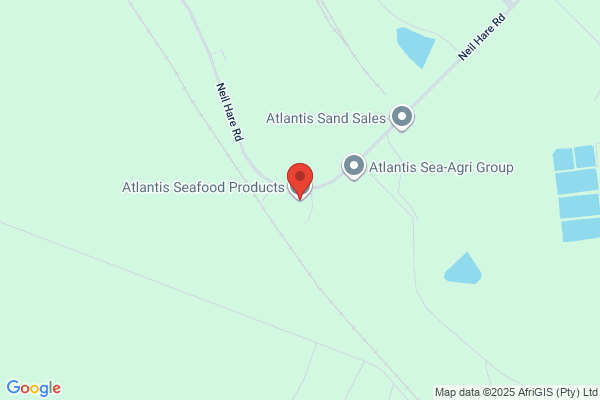 Atlantis Foods Holding (Pty) Ltd