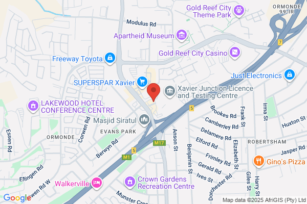 Steers