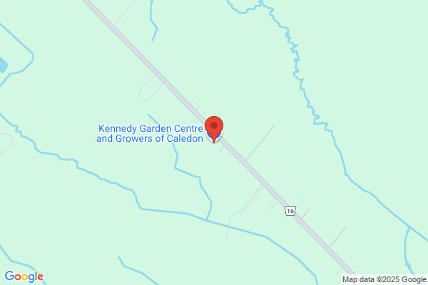 Caledon Nursery