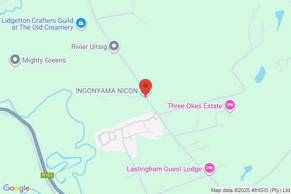 Ingonyama Nicon