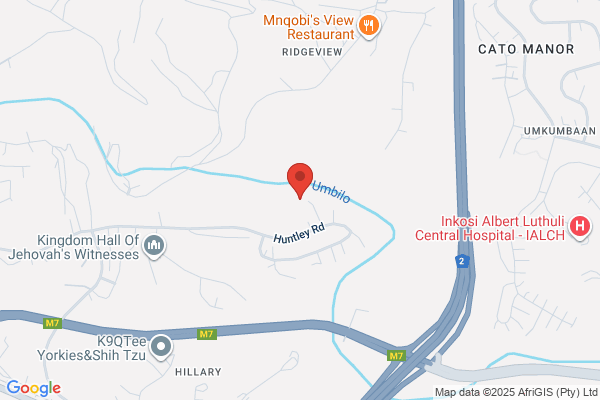 Rug Doctor Pro / Guzzi Kleen