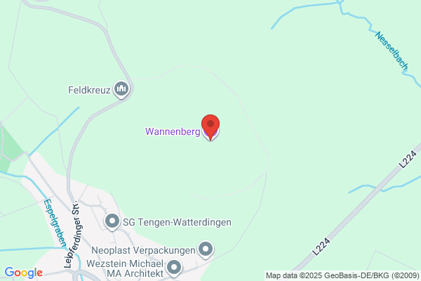 A P Wannenburg