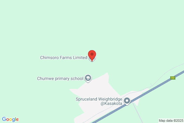 A Chimsoro