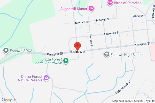 Vaal D H S S