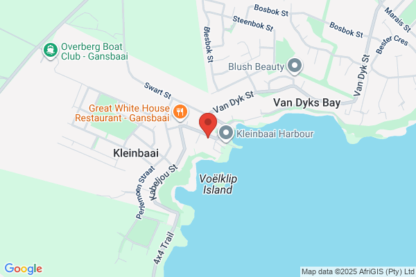 S A White Shark Research Institute-kleinbaai