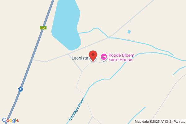 Leone's