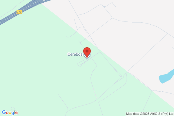 Cerebos Ltd