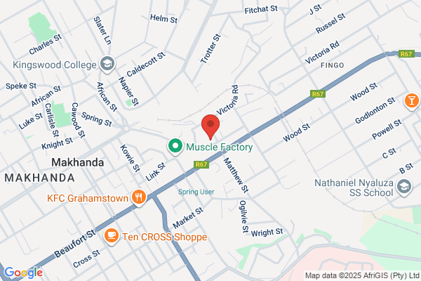 Dolphin Auto Electrical