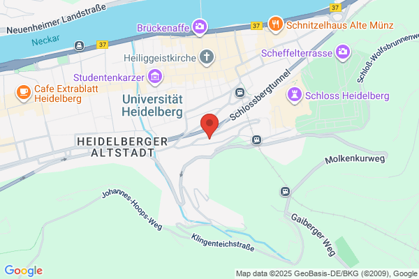 Heidelberg Delta