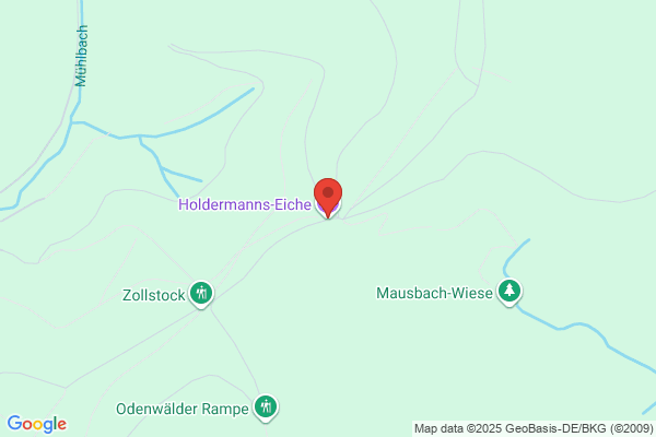 Holderbat