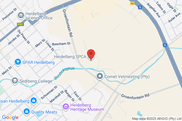 S P C A Heidelburg