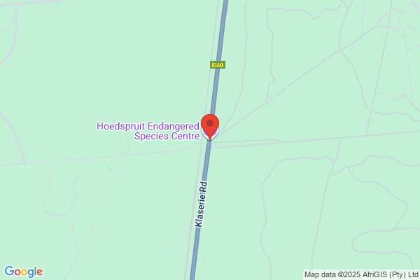 Economic Development Environment & Tourism (Hoedspruit)