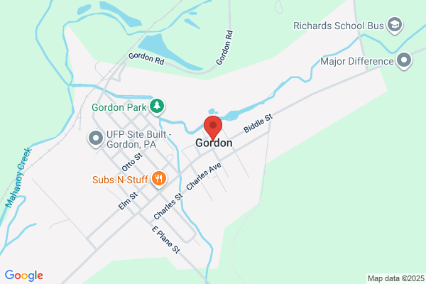 P A Gordon