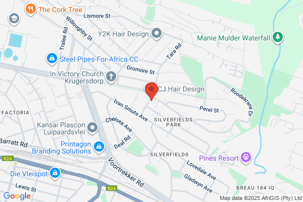 Rug Doctor Pro (West Rand)