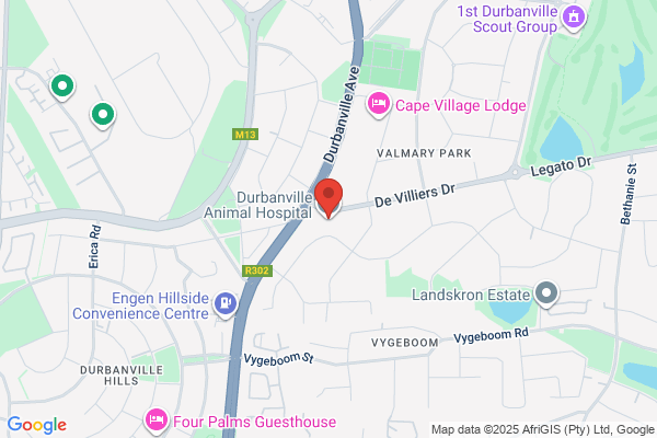 Durbanville Animal Hospital