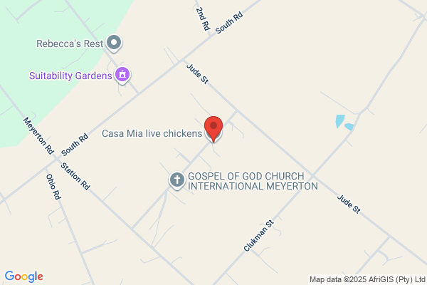 Casamia Chicken Distributors Rietspruit