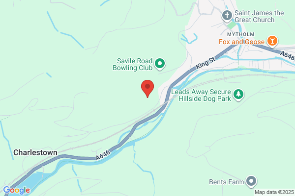 Beaver Tree Felling
