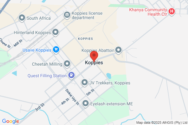 Traffic (Koppies)