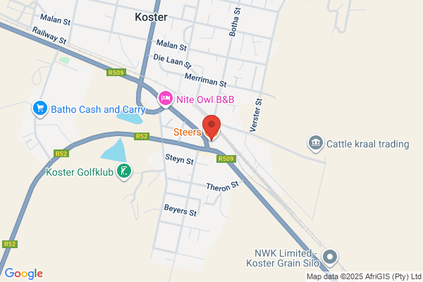 Steers