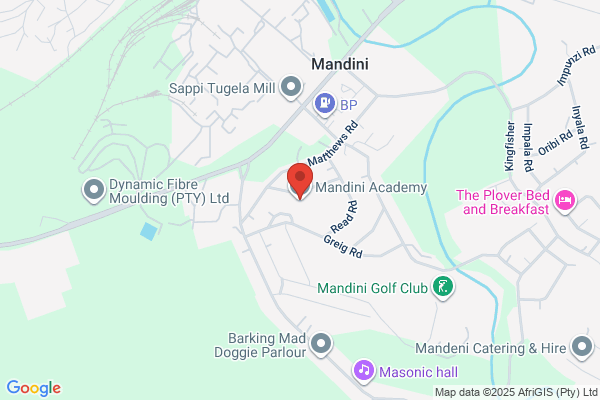 Mandini Academy
