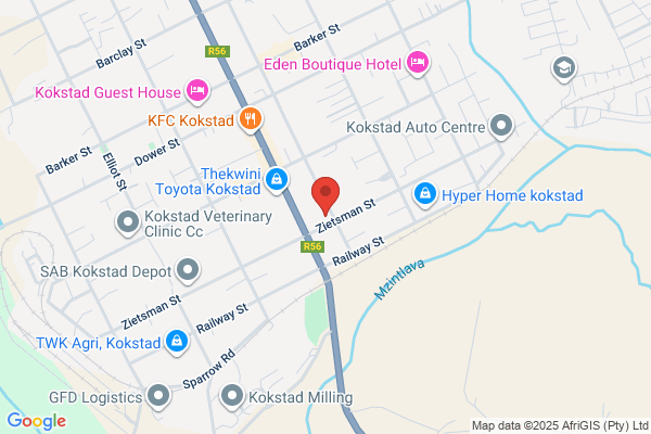 Veterinary Surgeon