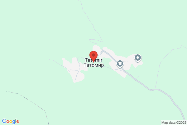 D Tatomir