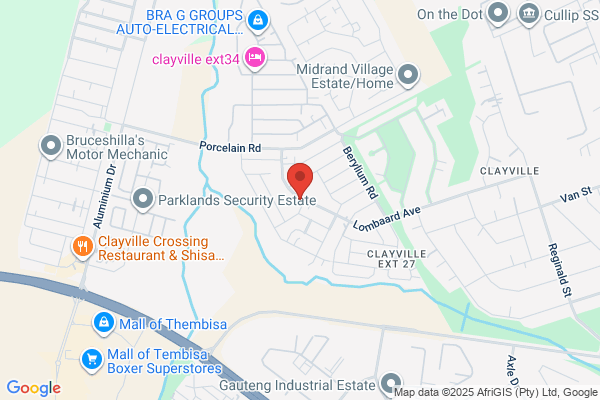Lead Security Services