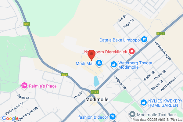 First National Bank-modimolle Branch