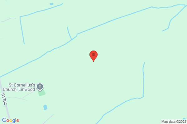 Narow Woods
