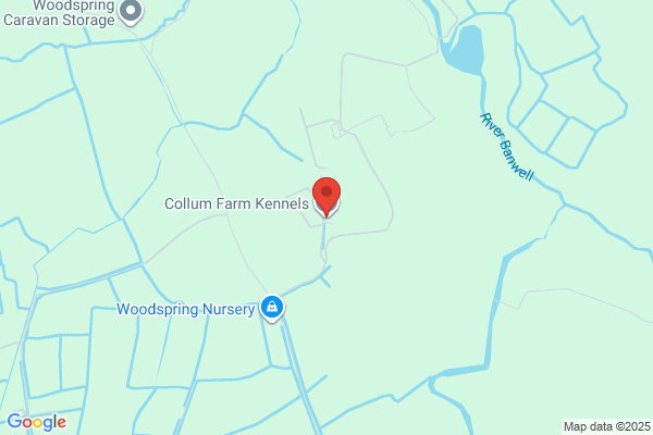 Ralum Kennels
