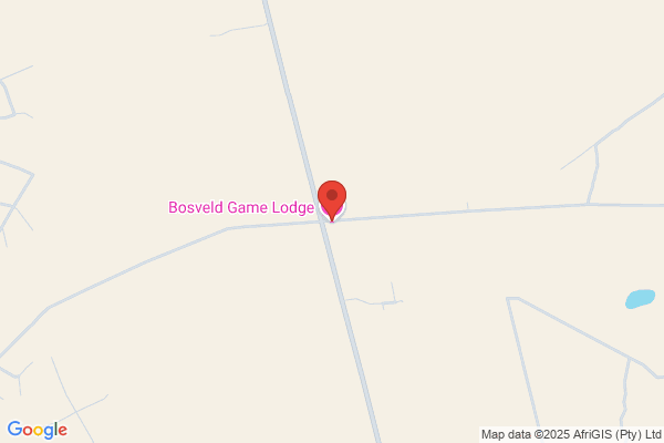 Limpopo Bosveld Braaihout