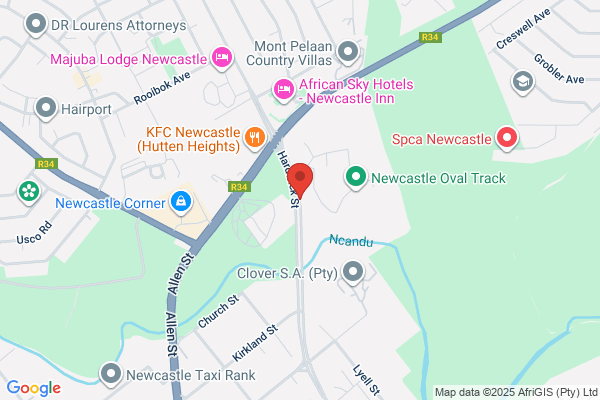 Afrikaanse Sakekamer Van Newcastle