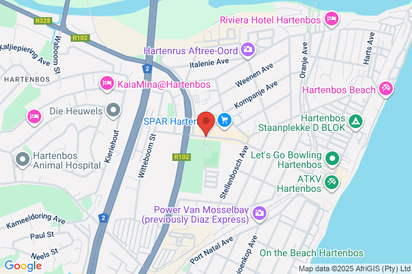 Dynamic Vision Network (dvn) - Jina's Optical Centre
