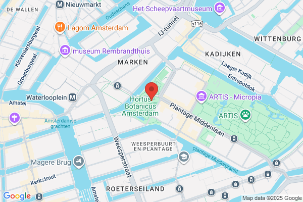 I E C (Amsterdam)
