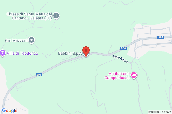 Babonina Business Enterprises
