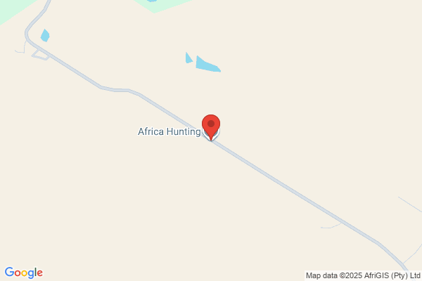 All Hunting Africa