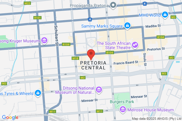 295 Paul Kruger Investment
