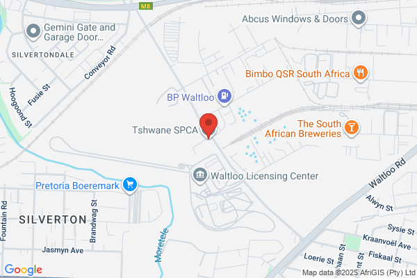 S P C A (Tshwane)