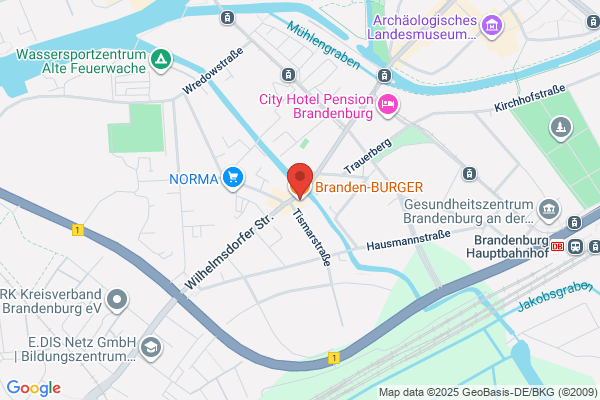 Wayback Burgers